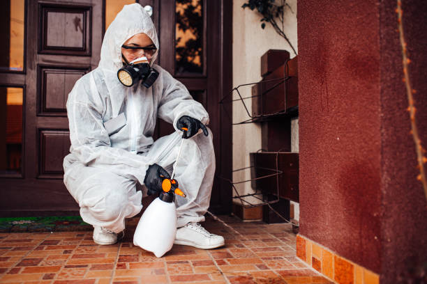 Reliable Ant Control contractor in Denver City, TX by Nex Pest Control